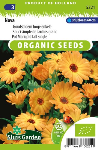 Ringelblume Orange EKO - Calendula