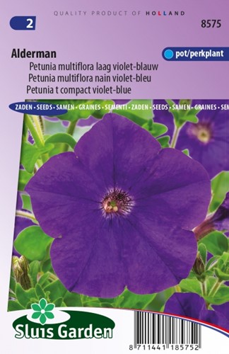 Petunia Multiflora Alderman Petunie
