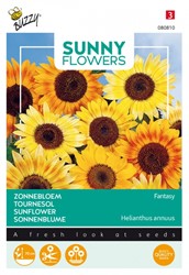 Niedrige Sonnenblumen Fantasy - Sunny Flowers
