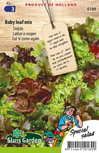 Salat Babyleaf Mischung