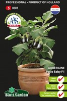 Aubergine Patio Baby F1 - Solanum melongena