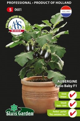 Aubergine Patio Baby F1 - Solanum melongena