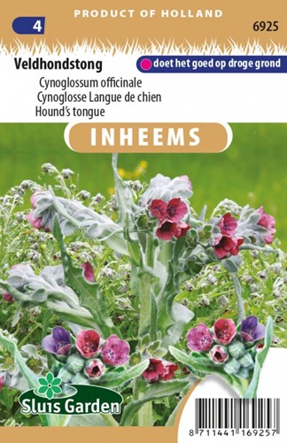 Hundszunge Cynoglossum Officinale