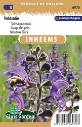 Wiesensalbei