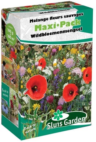 Streuschachtel Wiesenblumen-Samenmischung WILD - Maxi Pack Sluis Garden