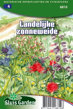 Auf ländlicherSonnenwiese