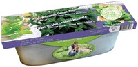 Zinkwanne Grüne Minze