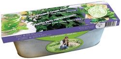 Zinkwanne Grüne Minze
