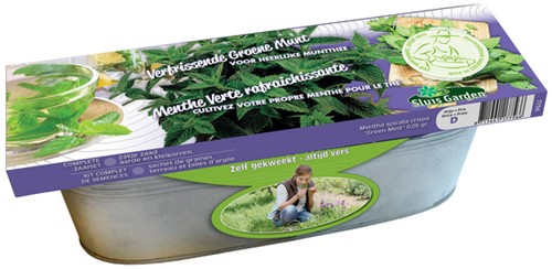 Zinkwanne Grüne Minze