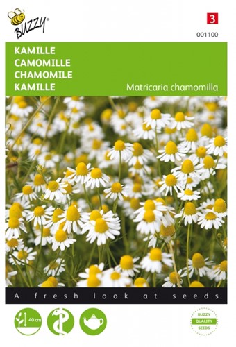Kamille - Matricaria chamomilla Buzzy