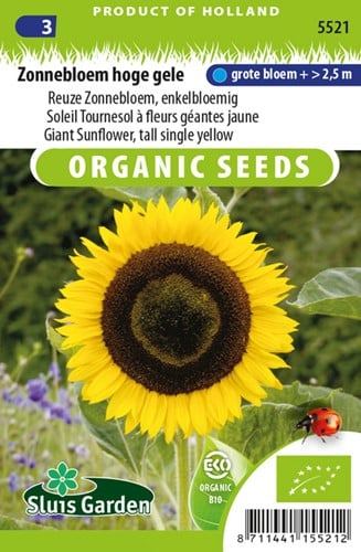 Sonnenblume Hohe gelbe EKO