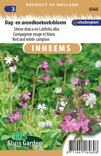 Dag- en Avondkoekoeksbloem - Silene & Latifolia