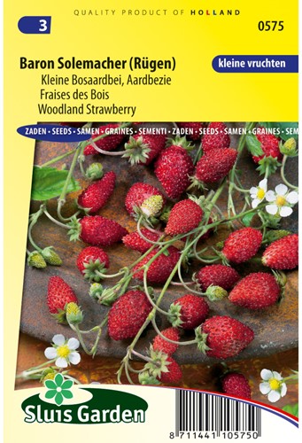 Erdbeere (busch) Baron Solemacher