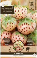 Erdbeer White Pineberry (gartenfertig) - Fragaria-2