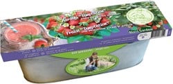 Zinkwanne Erdbeere Temptation