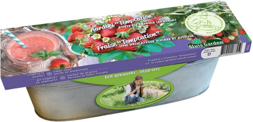 Zinkwanne Erdbeere Temptation