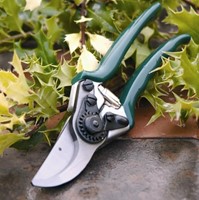 RHS Gartenschere für kleine Hände – Burgon & Ball-3