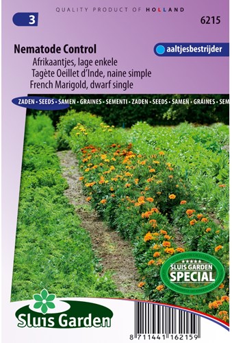 Samtblume Nematode control - Tagetes