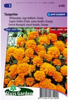Samtblume Tangerine - Tagetes