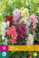 Alcea Rosea Mix - Stockrose-2