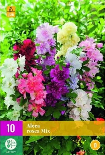 Alcea Rosea Mix - Stockrose