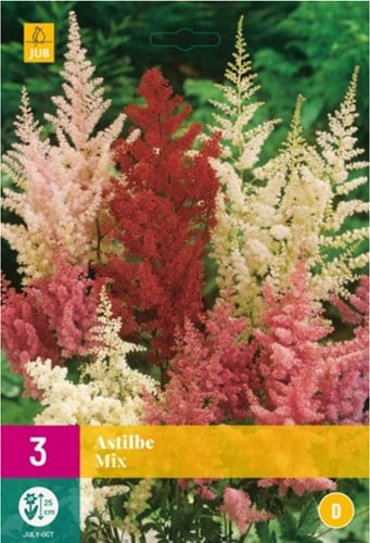 Prachtspiere Mischung - Astilbe mix