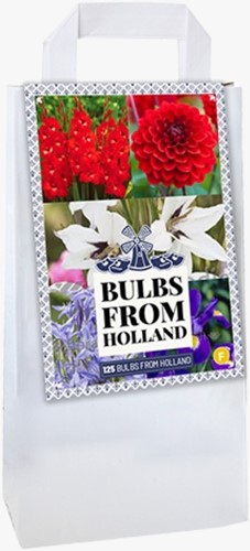 Tasje Delfts Blauw Holland Mix