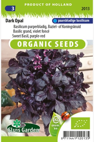 Basilienkraut Dark Opal EKO
