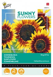 Zonnebloemen Ring of Fire - Sunny Flowers