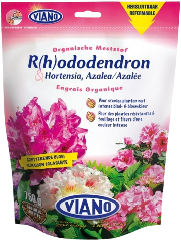 Rhododendron Hortensia Azalee Duenger