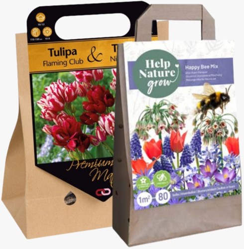 Bloembollen Geschenken Surprise pack 2