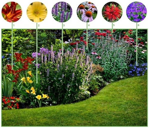Beetpaket für lange blühende Blumenbeete (9 Pflanzen 1,5m2)