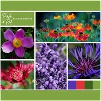 Beetpaket Lila und Rot (6 Pflanzen: 1m²)