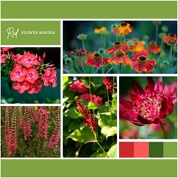 Beetpaket Rot (12 Pflanzen: 2m2)