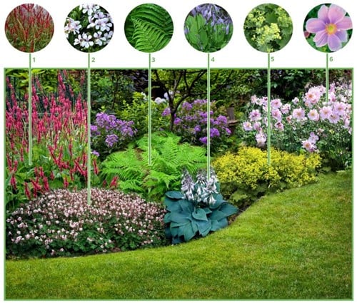 Beetpaket Schattengarten (9 Pflanzen)