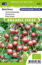 Black Cherry Braune Kirschtomaten Eko