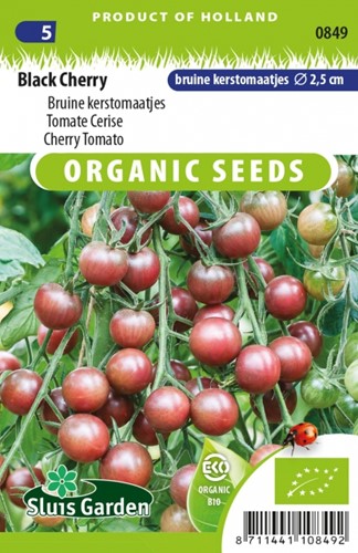Black Cherry Braune Kirschtomaten Eko