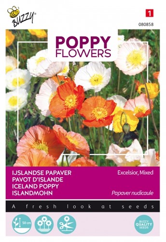 Islandmohn Excelsior - Poppy Flowers