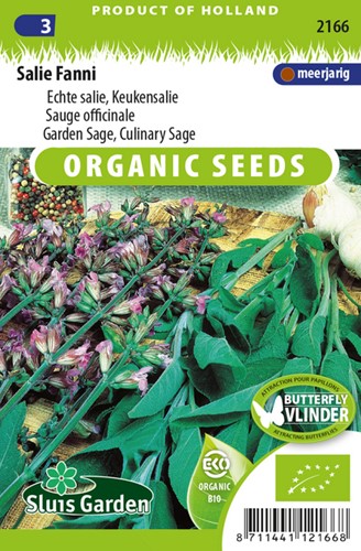 Salbei Salvia Officinalis Fanni Eko