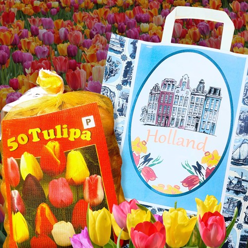 Delfter Blau Geschenktasche mit Tulpen