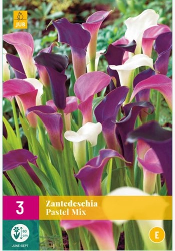 Aronskelk Pastel Mix - Calla-2