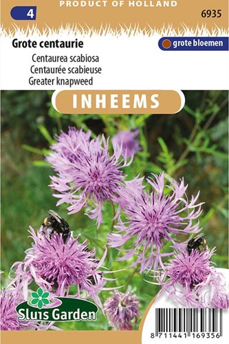 Skabiosen Flockenblume - Centaurea scabiosa