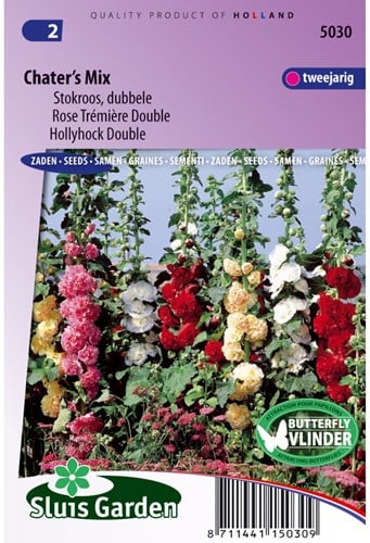 Stockrose Chaters Double - Alcea rosea