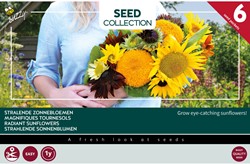Collectie 6 Stralende zonnebloemen – Buzzy Collection