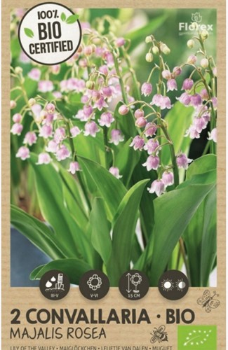 Convallaria Majalis Rosea - Lelietje van Dalen 100% BIO-2