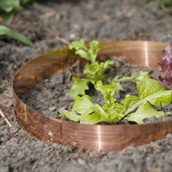 Schneckenringe Kupfer - Klein 35cm / 5cm