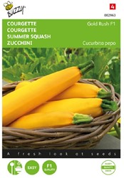 Zucchini Gold Rush F1 - Cucurbita pepo