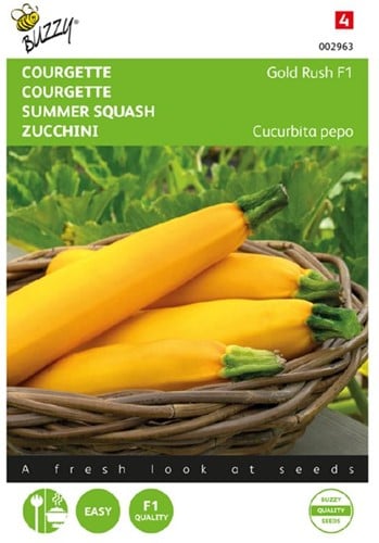 Zucchini Gold Rush F1 - Cucurbita pepo
