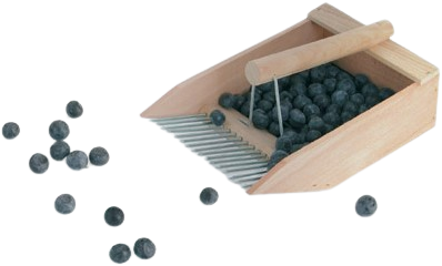 De Wiltfang Blaubeerenkamm