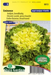 Endivie Eminence - Cichorium endivia